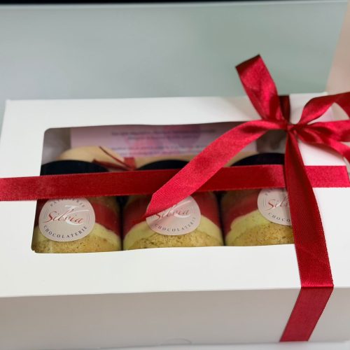 WhatsApp Image 2026-03-18 at 15.15.57 (1)